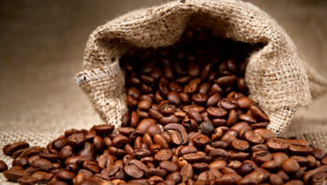báo cáo hoàn thành công trình bảo vệ môi trường cơ sở sản xuất cà phê